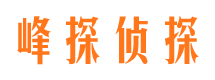 隆昌寻人公司